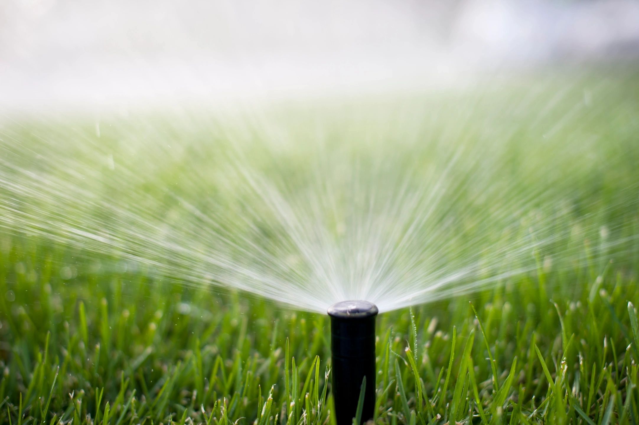 Sprinkler Head Replacement | Eden Edge Lawn Care | Serving Davenport and Kissimmee | EdenEdgeLawnCare.com