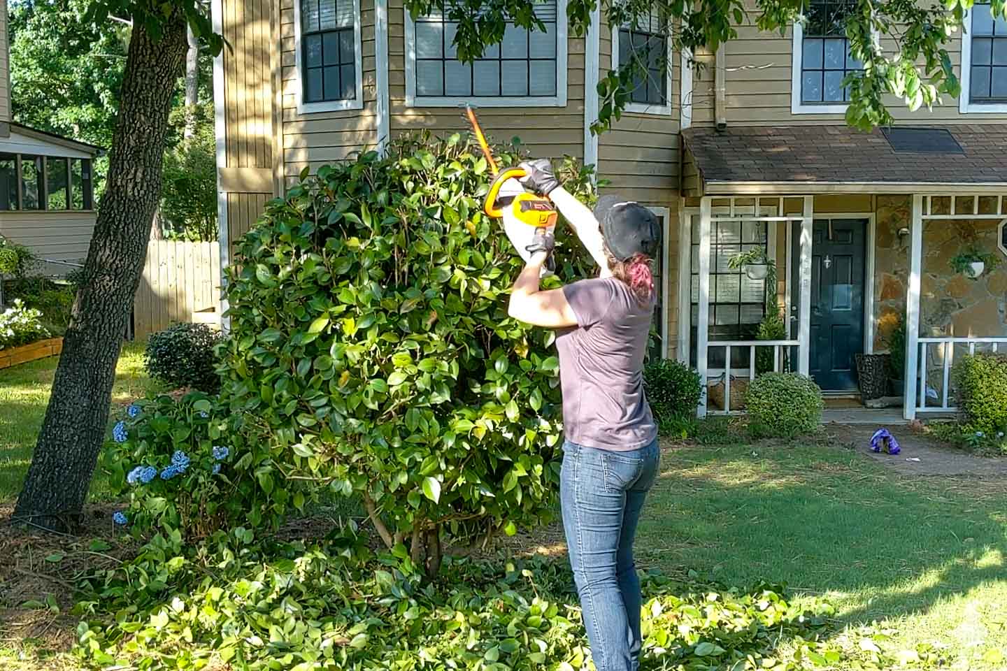 Trimming of Small Trees Under 10 Feet | Tree Care Specialists | Eden Edge Lawn Care | West Orlando Small Tree Services | EdenEdgeLawnCare.com