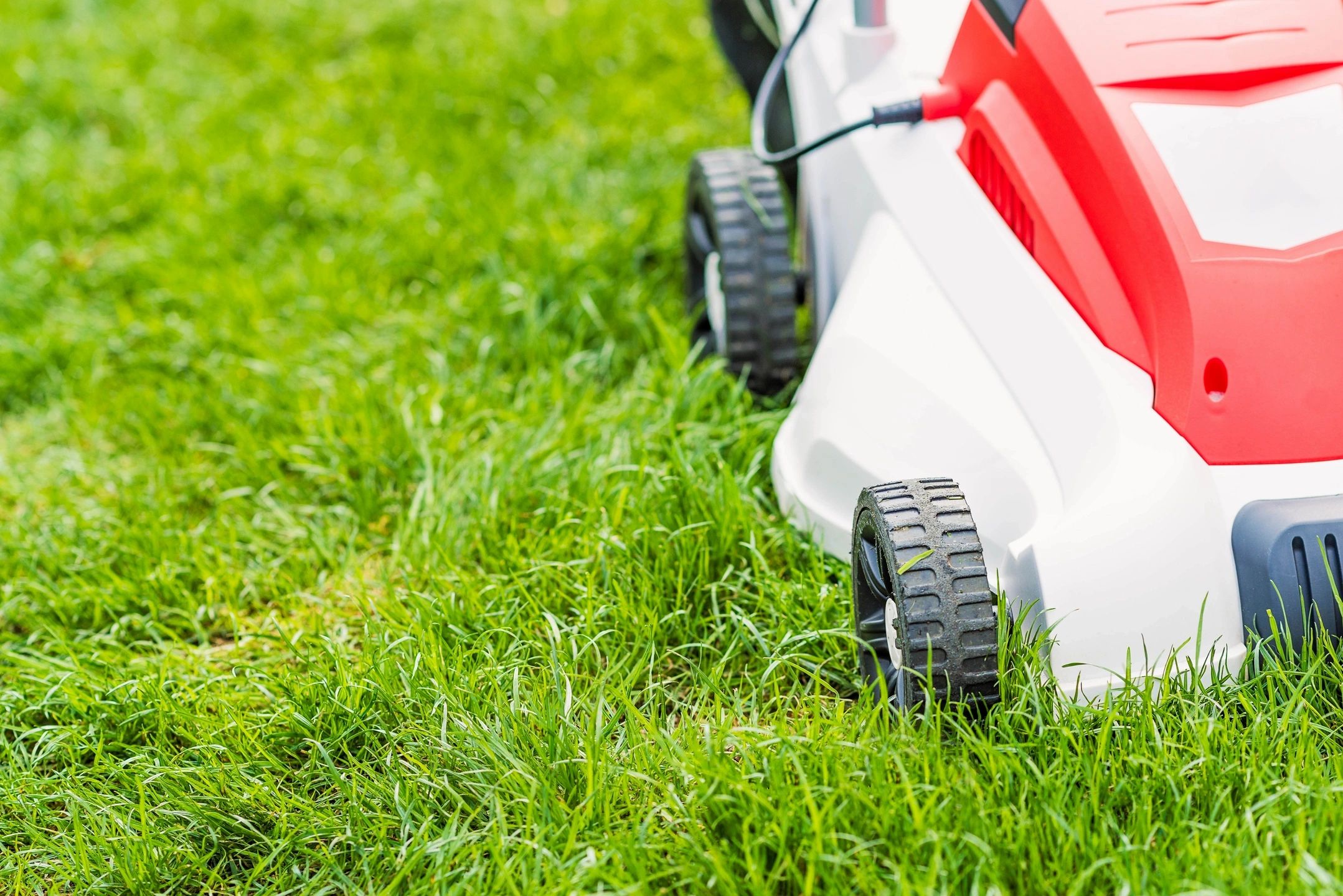 Monthly Lawn Service | Lawn Mowing and Maintenance | Eden Edge Lawn Care | Serving Windermere and Oakland | EdenEdgeLawnCare.com